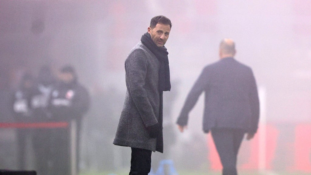 Domenico Tedesco muss beim belgischen Nationalteam als Trainer gehen.