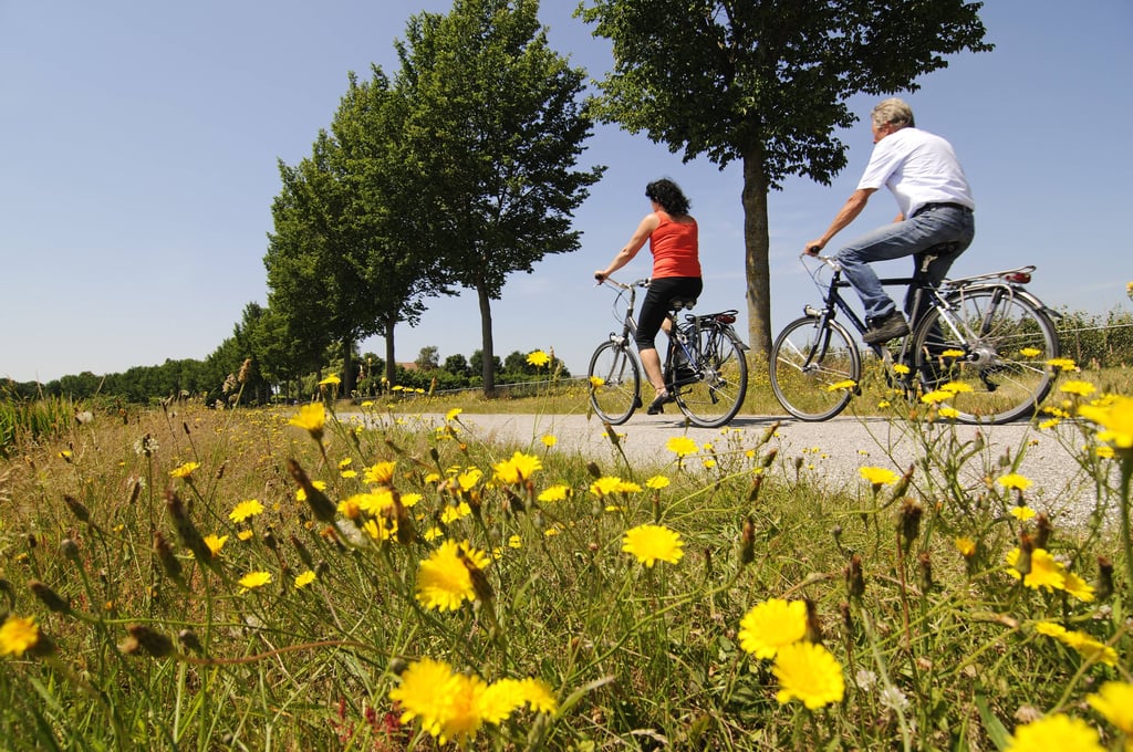 Bessere Bedingungen für Radfahrer: Die Städte Quedlinburg und Thale verfolgen seit mehreren Jahren gemeinsam das Vorhaben, den Neinstedter Feldweg auszubauen.