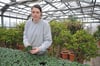 Louise Jurk überprüft die Hornveilchen und Stiefmütterchen im Kalthaus der Gärtnerei des Europa-Rosariums. 