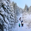 In Sachsen-Anhalt droht Schneefall, Glätte und gefrierender Regen.