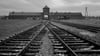 Zum Jahrestag der Befreiung des NS-Vernichtungslagers Auschwitz bietet das Bundesarchiv einen Themenschwerpunkt mit Originaldokumenten. (Archivbild)