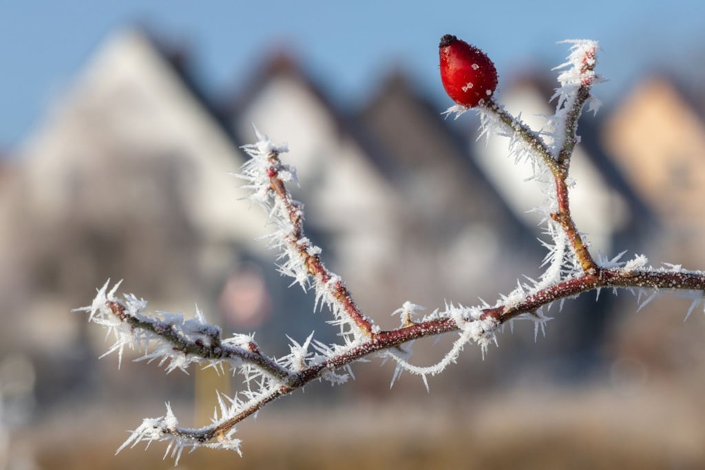 In Thüringen startet die Woche mit Sonne und Frost. (Foto: Archiv)