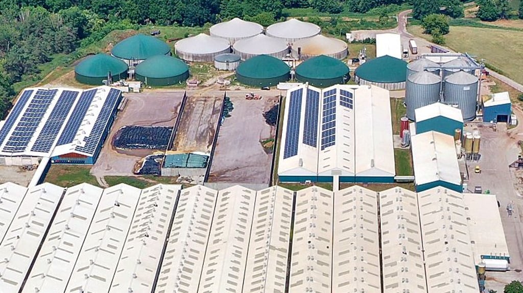 Die Biogasanlage in der Schweinzucht in Gladau soll nach dem Willen der Betreiber mehr als 1.000 Haushalte mit Wärme versorgen.