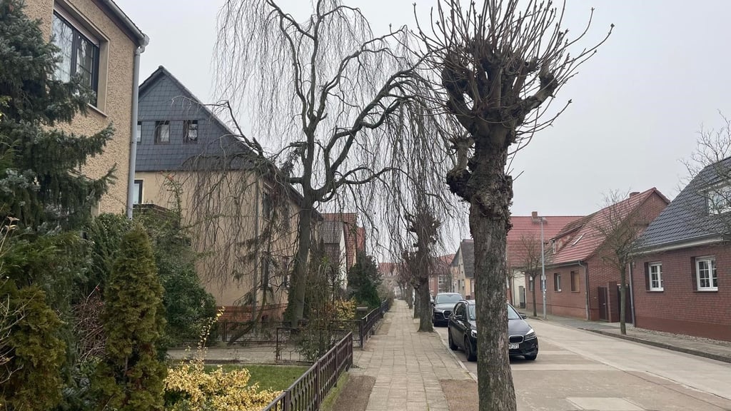 Blick in die Poststraße in Osterburg.