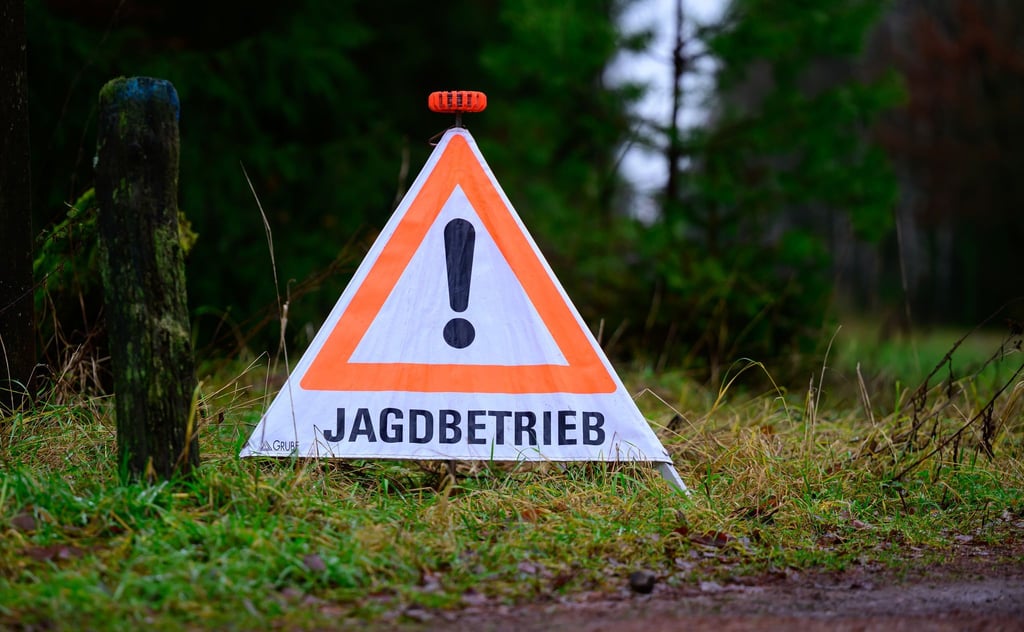 Tierschützer kritisieren unter anderem, dass weiterhin der Abschuss von Katzen erlaubt sein soll. (Symbolbild)
