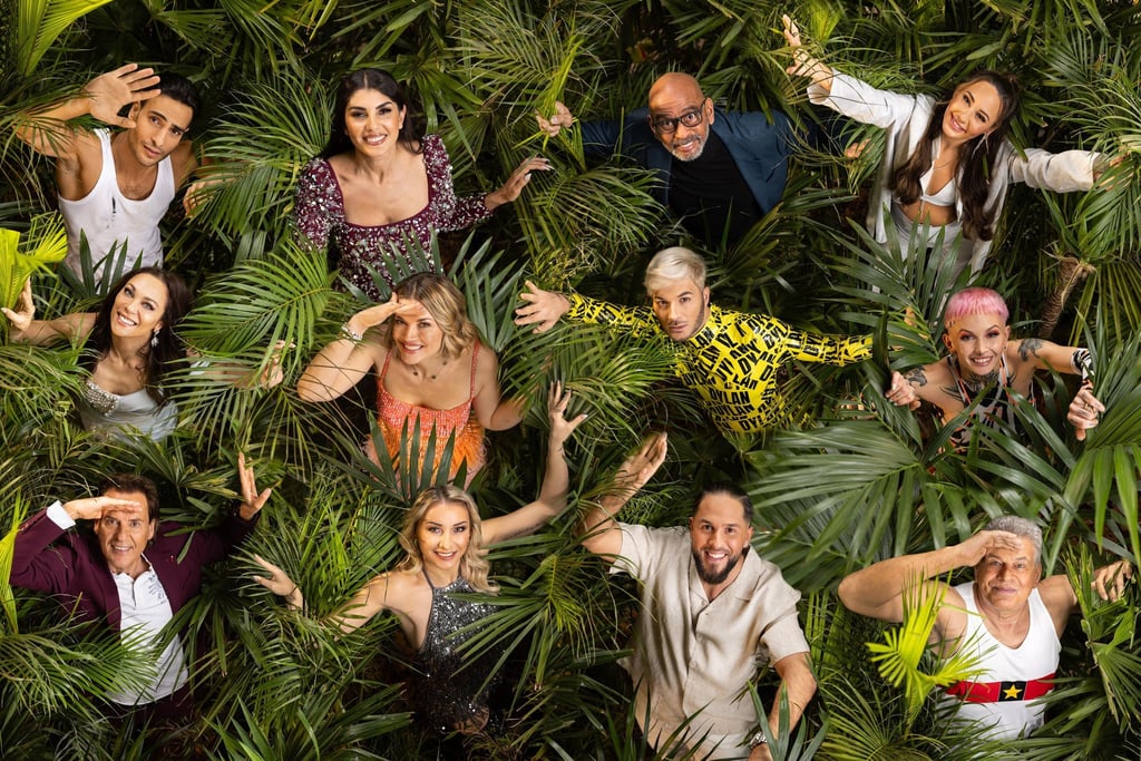Das RTL-Dschungelcamp startet wieder.