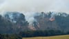 Nach dem Waldbrand in der Böhmischen Schweiz ist der Tatverdächtige im Prozess freigesprochen worden. (Archivbild)