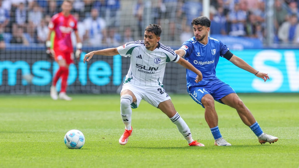 Der 1. FC Magdeburg ist am 1. Februar 2025 beim FC Schalke 04 in der 2. Bundesliga zu Gast. Hier gibt es die Infos zur Live-Streams und TV-Übertragung.