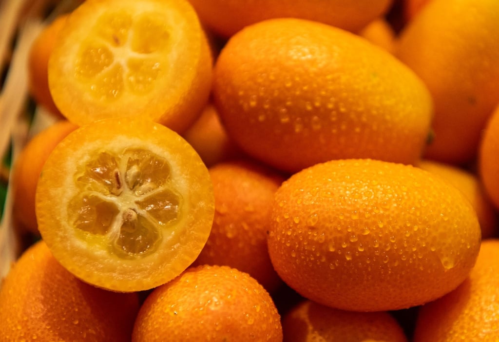 Kleine Frucht, großer Geschmack: Kumquats sind nur pflaumengroß, vereinen in sich aber süße und saure Aromen.