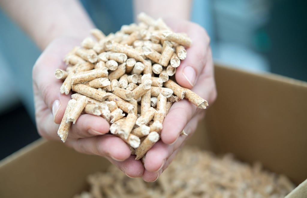 Augen auf beim Kauf: Heizungsbesitzer, die Holzpellets verwenden, sollten Angebote im Internet, die zu verlockend klingen, besser meiden.