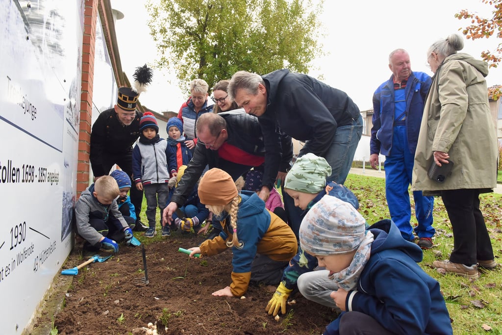 Für ein bunten Frühling werden Blumenzwiebeln gesteckt.Die 29 Mitglieder des Rotary Club Eisleben setzen sich für ein farbenfrohes Eisleben mit vielen Frühjahrsblühern unter anderem Bergmännchen zum Bergbaujubiläum.