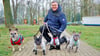 Carlo Scholz ist regelmäßig mit Buddy, Mila, Blue und Emma, drei französischen Bulldoggen und einem Labrador-Border Collie, unterwegs.