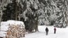 Regen, Schnee und Sonne: Der Januar war in Thüringen zu mild und zu nass. (Archivbild)