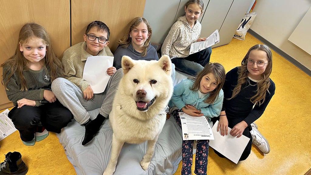 Der fünfjährige Rüde Luke war als „Lesehund" ein entspannter Zuhörer in der Grundschule in Welsleben.
