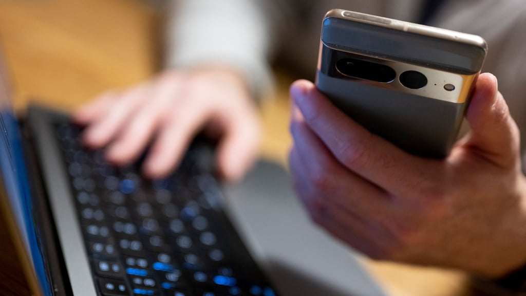 Im Internet lauern viele Betrüger, die nur darauf warten, dass ein argloser Kunde in ihre Falle tappt.
