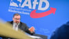 Wichmann führt die AfD im Landtag seit knapp einem Jahr an. (Archivbild)