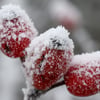 In Sachsen-Anhalt drohen Glätte, Schnee und Frost.