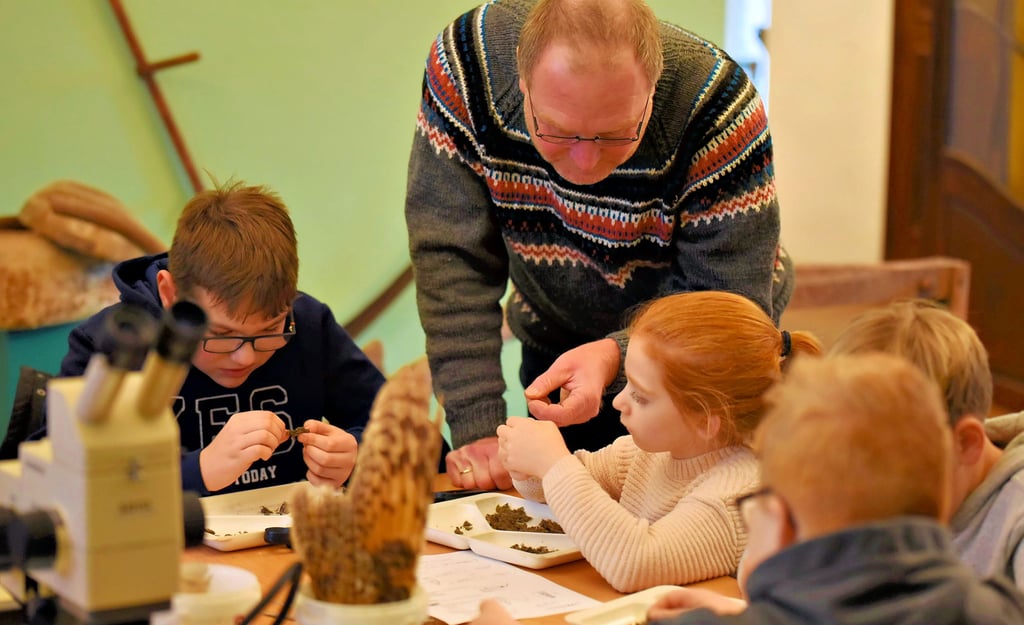 Spitzmaus oder Feldmaus: Bernhard Just nimmt die Funde der Kinder unter die Lupe und erklärt, was bei der Eule auf dem Speiseplan stand.