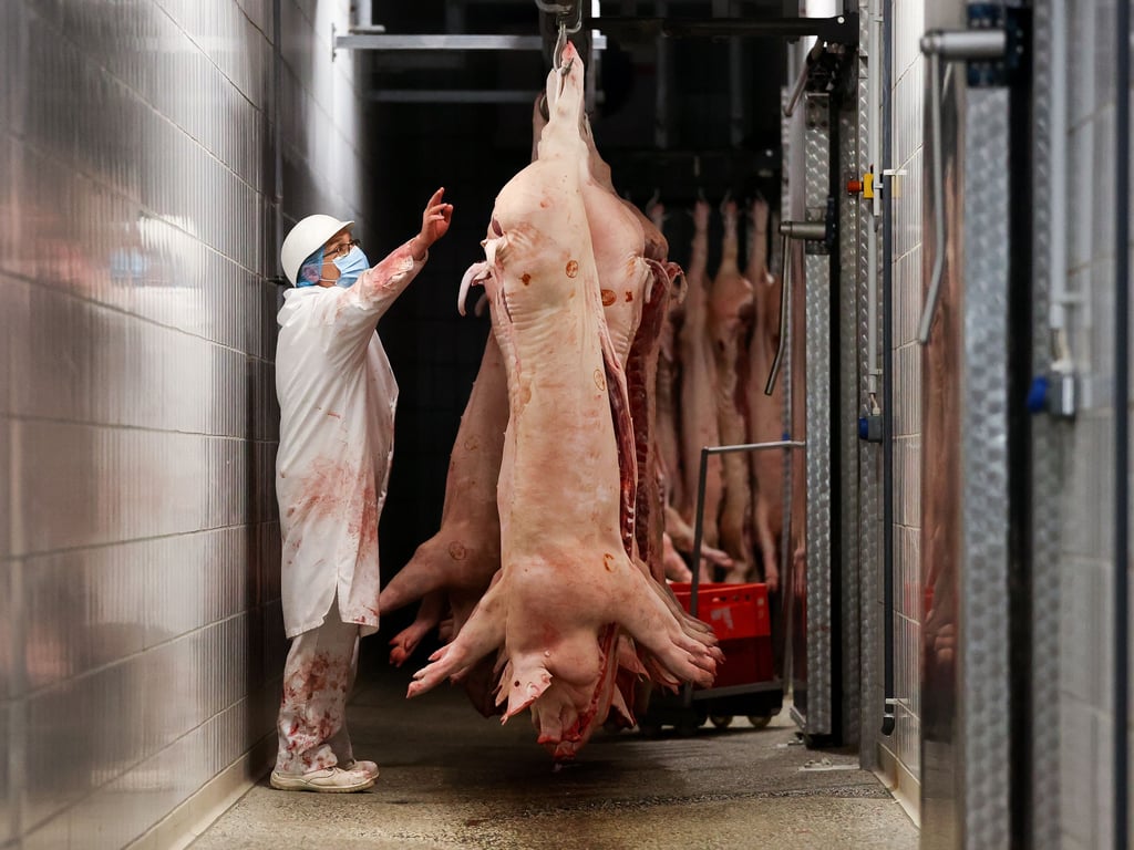 Der Schlachthof im nordsächsischen Belgern (Foto) beliefert auch den Schweinitzer Fleischermeister Willy Hecht.