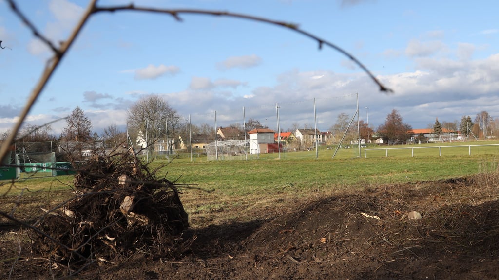 Rund um den Fußballplatz am Anger in Barleben sind zum Jahresende Bäume und Sträucher gerodet worden.