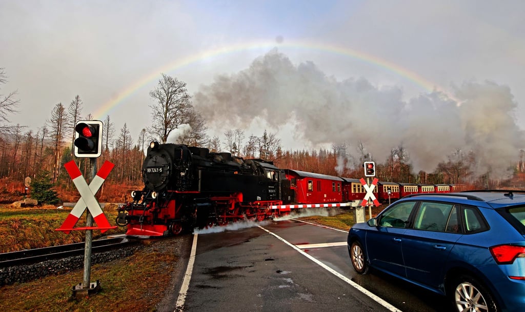 Die Fahrten mit der Brockenbahn zum höchsten Gipfel des Harzes sind sehr wetterabhängig. (Archivbild)