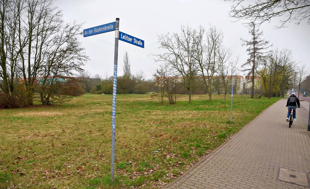 In der Lelitzer Straße in Köthen waren Vandalen unterwegs.