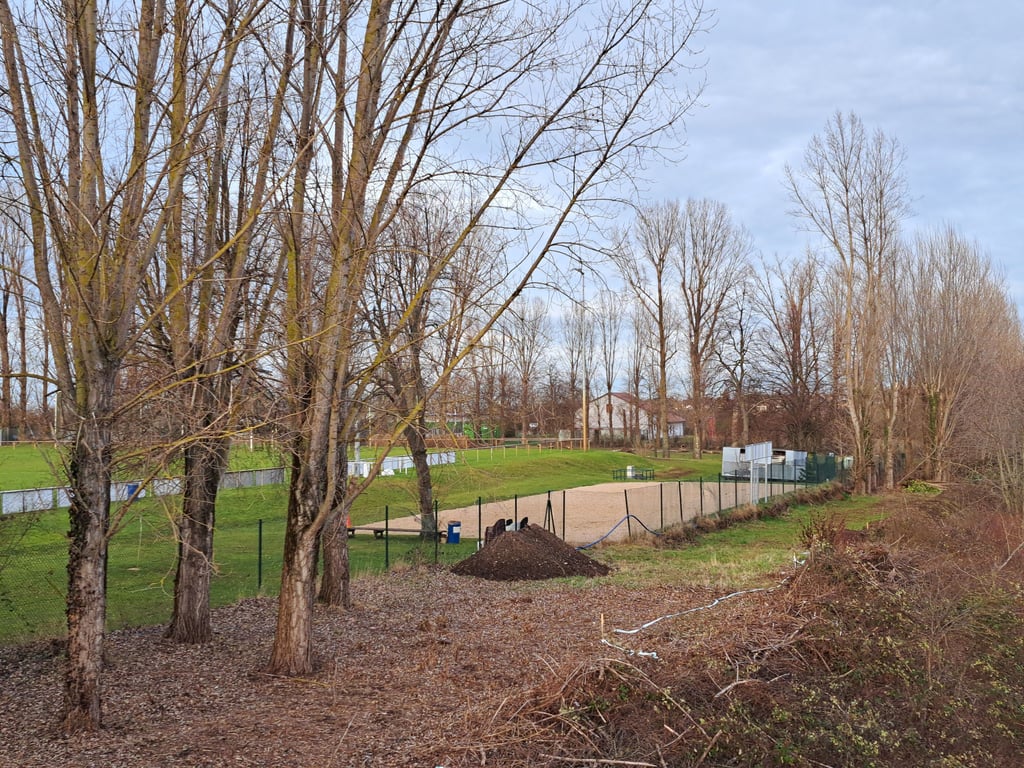 Grün-Weiß Langendorf plant auf seinem Vereinsgelände eine Beach-Arena mit Tribüne, Flutlicht und einer Beach-Bar. Erste Vorbereitungen dafür sind schon erfolgt.