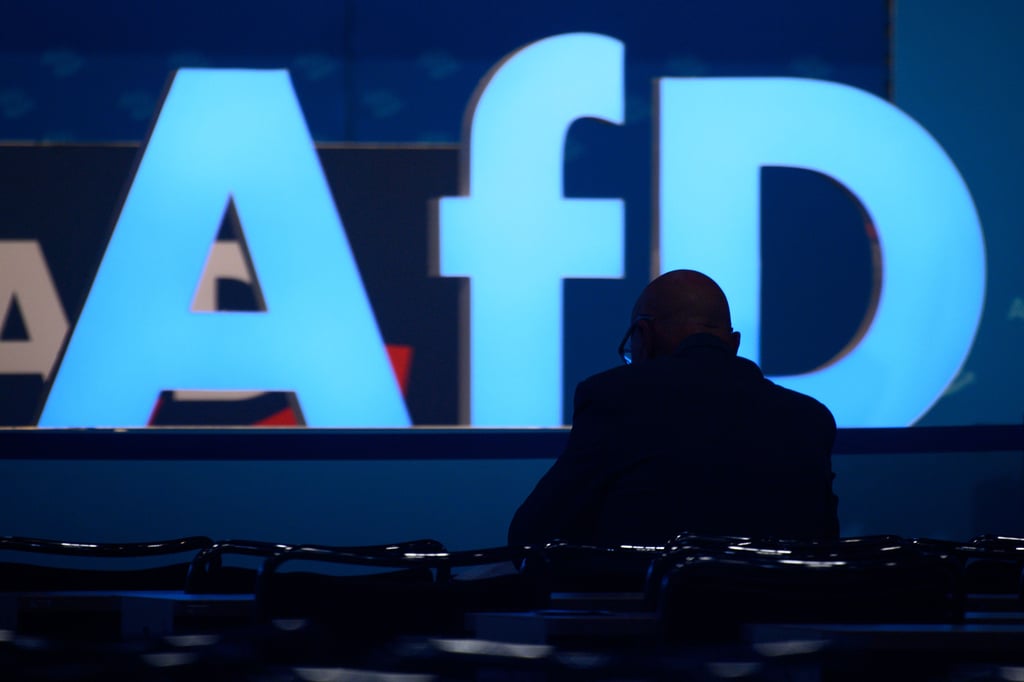 Die Debatte um ein AfD-Verbotsverfahren läuft.