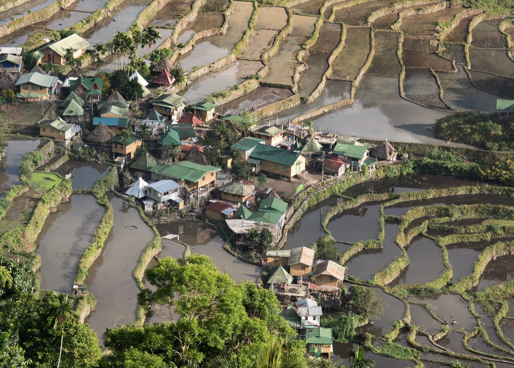 „Eine Landschaft von großer Schönheit, die die Harmonie zwischen Mensch und Umwelt ausdrückt.“ So sieht es die Unesco, zu deren Weltkulturerbe die Reisbauterrassen von Ifugao zählen.