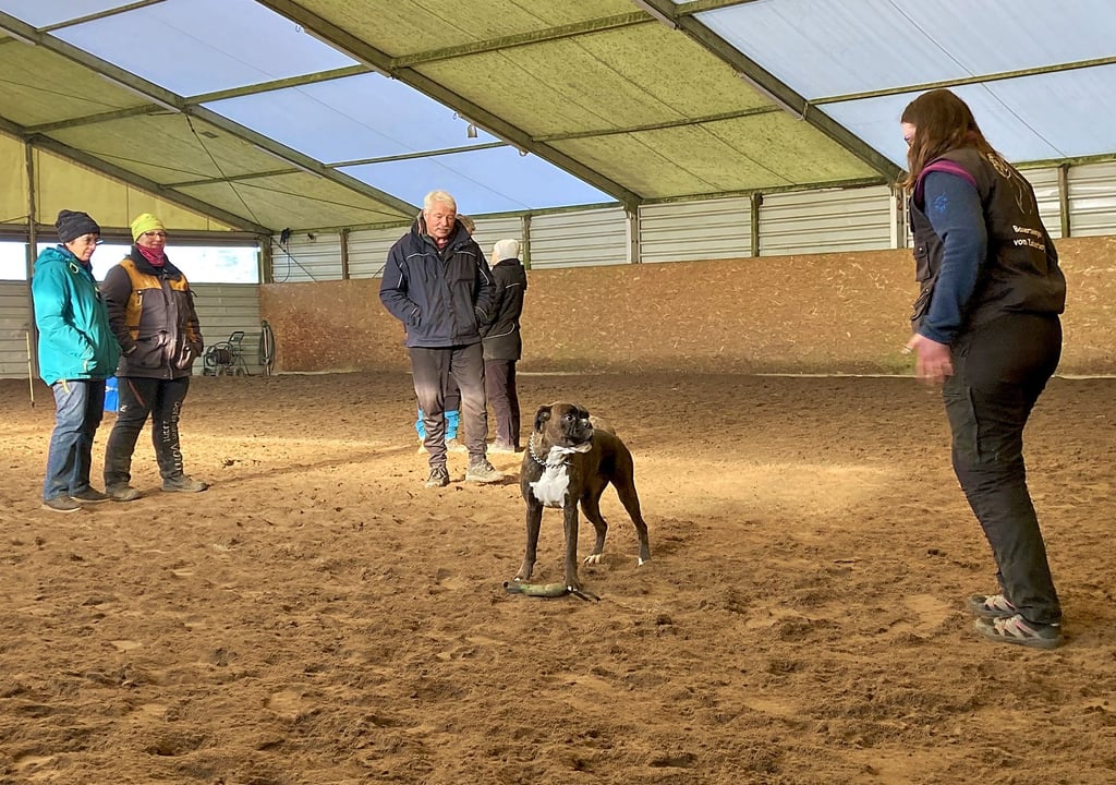 Hundesportler kamen nach Trüben zu einem Workshop im Reitzelt.