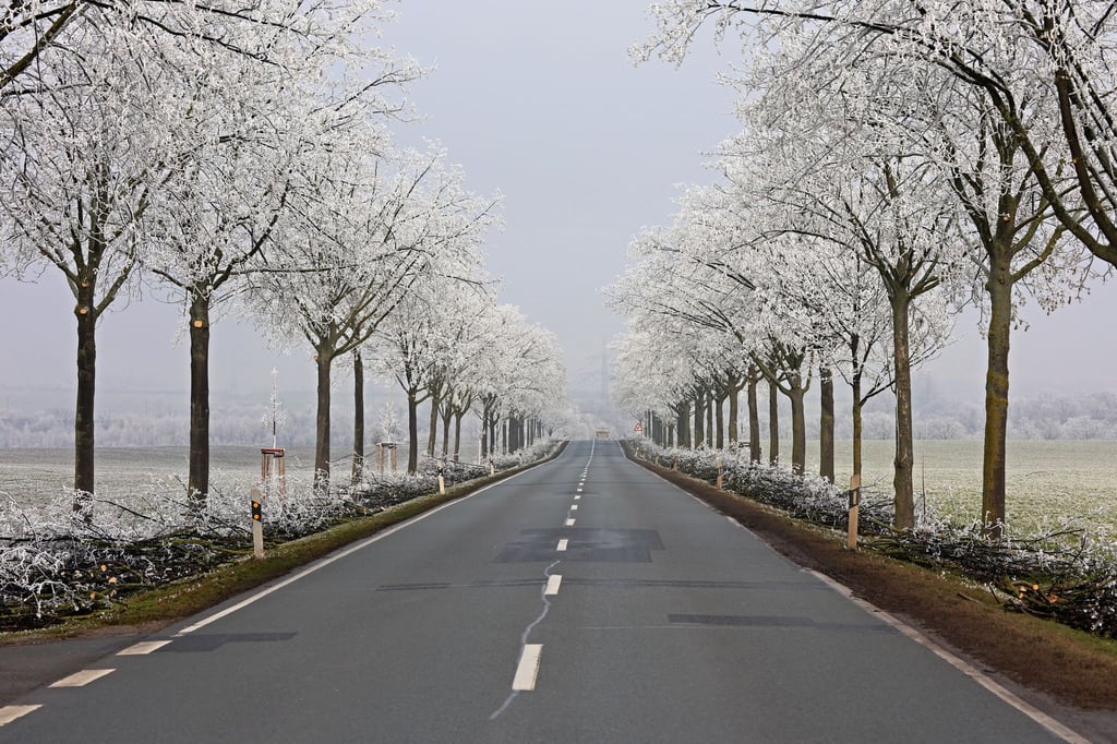 In den nächsten Tagen ist Vorsicht auf den Straßen Sachsen-Anhalts geboten. (Archivbild)