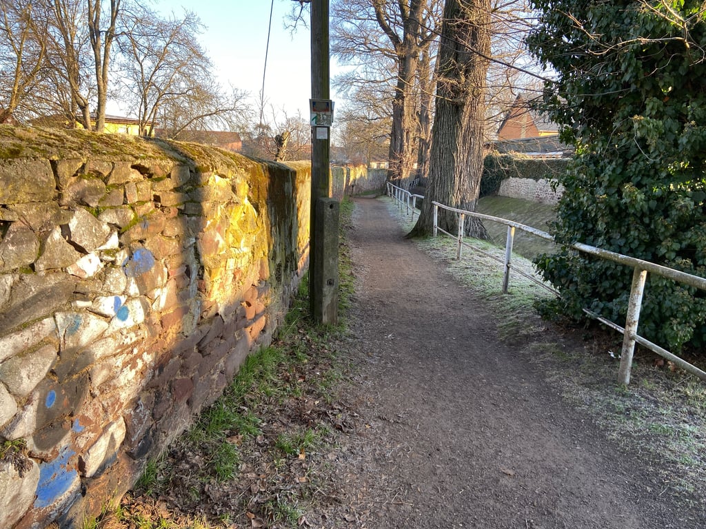 Der Weg „Am Thie“ in Magdeburg soll aufgewertet werden.