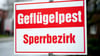 Um eine Ausbreitung der Tierseuche zu verhindern, wurde der Bestand von 12.000 Legehennen in einem Betrieb in Friesland getötet. (Symbolbild)