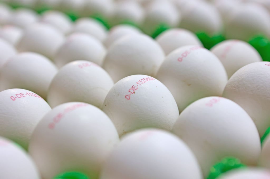 Tausende Eier haben Unbekannte gestohlen. (Symbolbild)