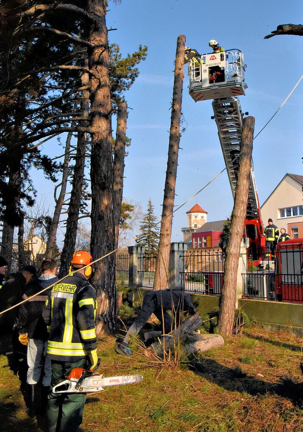 Feuerwehrmann Thomas Klotz sägte vorichtig die Kiefernäste ab, bevor er die Stämme Stück für Stück kürzte. Neben ihm im Korb der Drehleiter war Nico Drobek, der sie mit dem oberen Display steuerte.