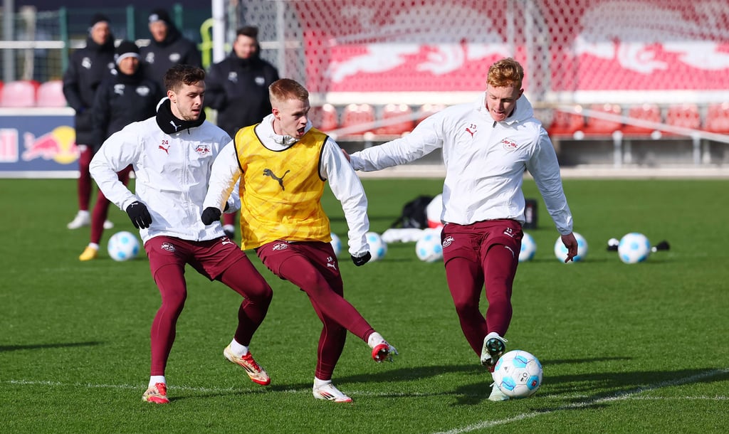 Die RB-Profis am Mittwoc im Training am Cottaweg.