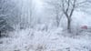 Der Winter meldet sich in Sachsen-Anhalt zurück. Bei leichtem Frost schneit es verbreitet. (Symbolbild)