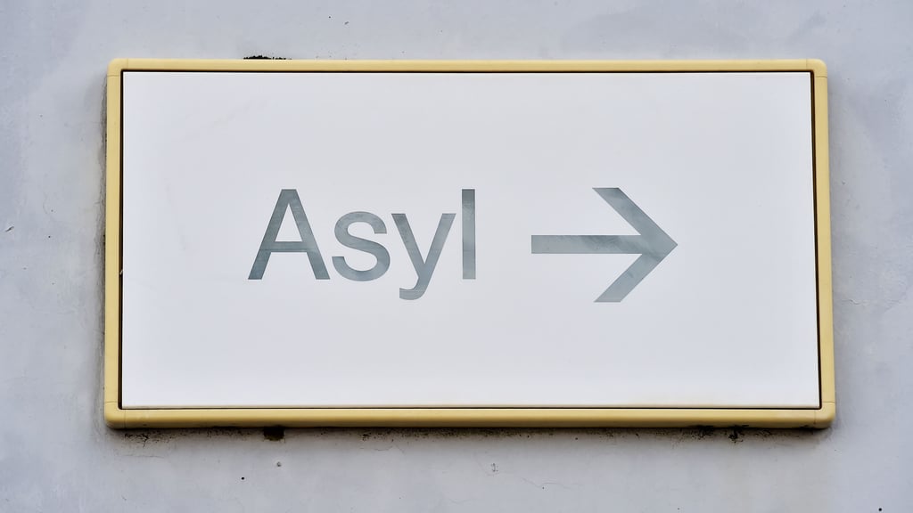 Wie können Asylverfahren beschleunigt werden? Dieser Frage stellen sich die Harzer Bundestagskandidaten.