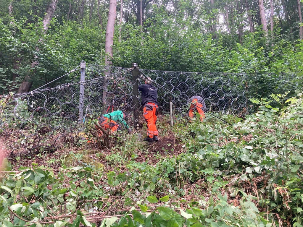 Fangnetze werden – wie hier in Rübeland – repariert.