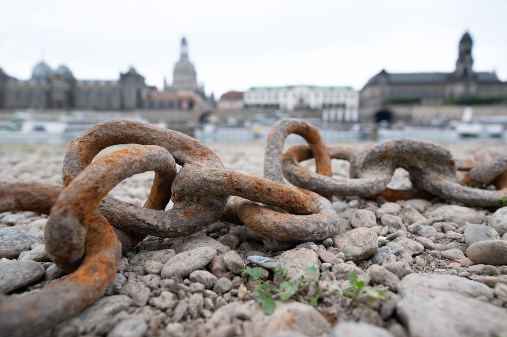 Ein Klimaforscher fordert ein Dürremanagement für Deutschland (Archivbild).