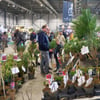 Gewinnen: 10 x 2 Karten für die Veranstaltung Messe Gartenträume in der Messe Halle Saale vom 28.02.–02.03.2025 zu gewinnen