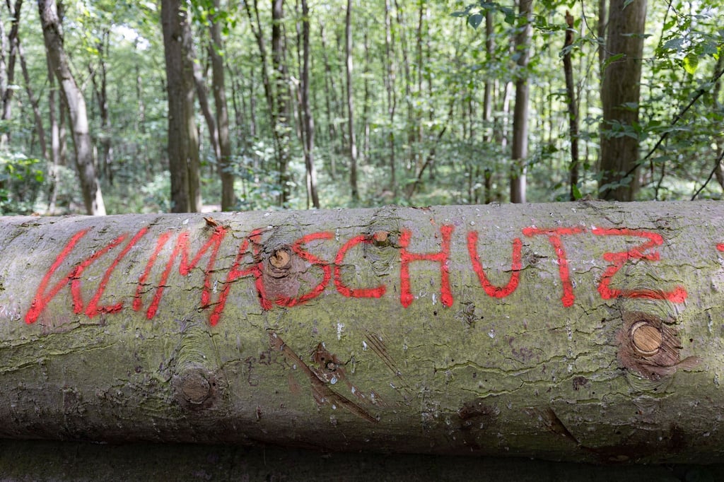 Klimaschutzprojekte stehen im Fokus des diesjährigen Umweltpreises Sachsen-Anhalt, der erstmals mit insgesamt 30.000 Euro dotiert ist. Bis 27. April läuft die Bewerbungszeit. (Symbolbild)