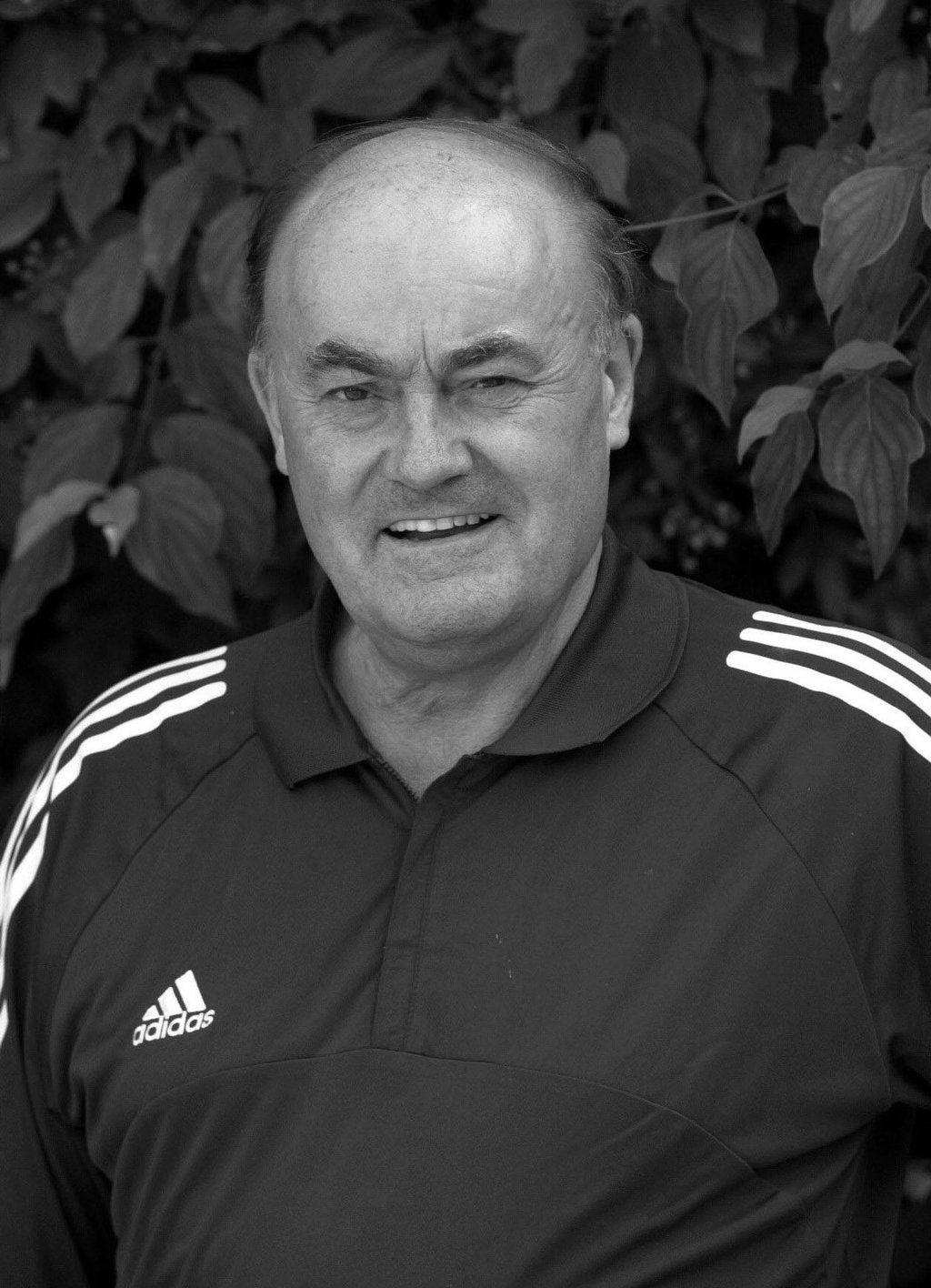 Der frühere Bundesliga-Schiedsrichter Volker Roth ist gestorben.