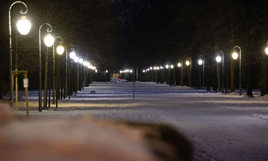 Der eisige Winter hält Berlin und Brandenburg weiter fest im Griff. Dabei scheint tagsüber oft die Sonne. (Symbolbild)