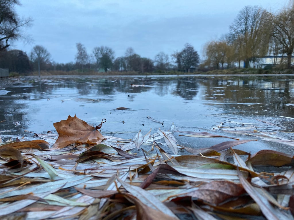 Trügerisches Eis auf dem Teich im Flickschupark in Burg. Das Betreten von zugefrorenen Gewässern bleibt verboten.