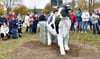 Die Einweihung der Kuh-Plastik war für den neuen Heimatverein ein Meilenstein. Jetzt wachsen die Ideen, um das Ortssymbol mehr zum Hingucker zu machen. 