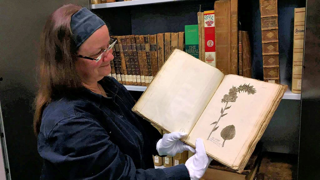 Anja Ewerhardy von der IPK-Bibliothek in Gatersleben möchte deren jahrhundertealte Schätze besser in Szene setzen.