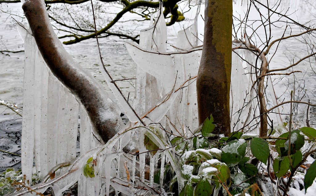 Eine durch Wellen entstandene Eisskulptur am Arendsee.