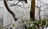 Eine durch Wellen entstandene Eisskulptur am Arendsee.