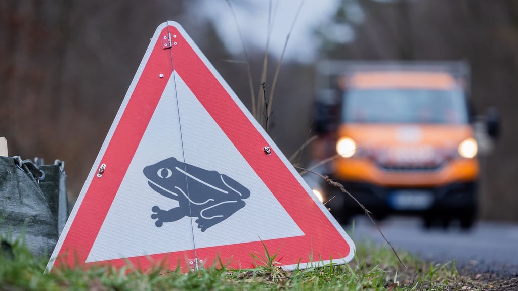 Auf der B6n wird Artenschutz großgeschrieben. Entlang der Strecke entstehen Tunnel für die Krötenwanderung.